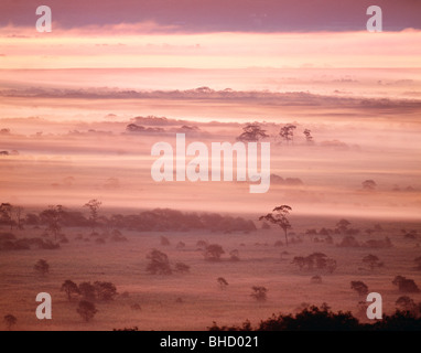 Morgennebel über Landschaft, Kushiro - shitsugen, Hokkaido, Japan Stockfoto