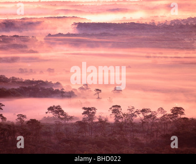 Morgennebel über Landschaft, Kushiro - shitsugen, Hokkaido, Japan Stockfoto