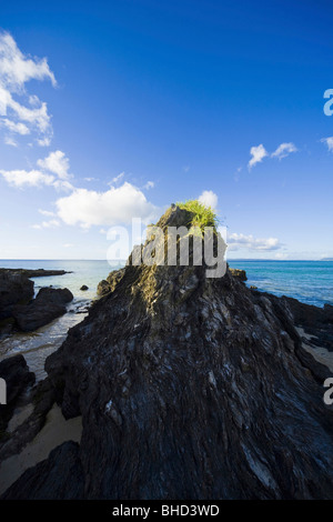 Felsbrocken auf Strand, Onna-son, der Präfektur Okinawa, Japan Stockfoto
