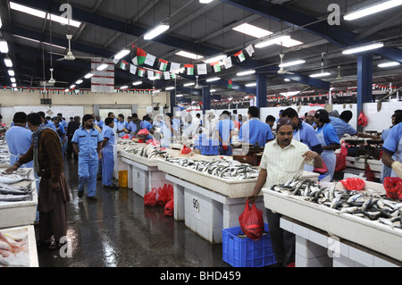 Fischmarkt in Dubai, Vereinigte Arabische Emirate Stockfoto