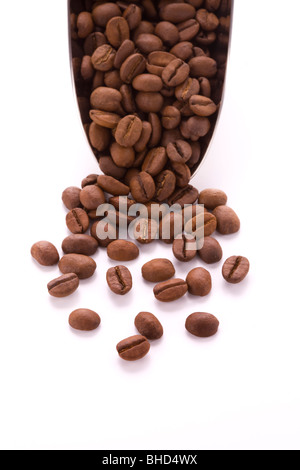 Kaffeebohnen in Kugel Stockfoto