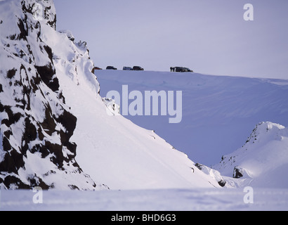 Jeep-Tour auf Langjökull Eiskappe, Island Stockfoto