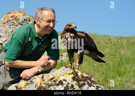 Falkner Mit Jungem Steinadler (Aquila Chrysaetos) Falkner mit jungen Steinadler • Baden-Württemberg; Deutschland; Deutschland Stockfoto