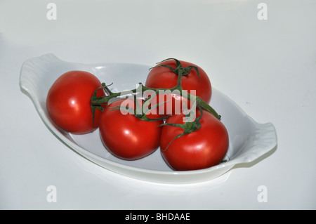 4 reife Tomaten am Rebstock in eine weiße ovale Schale Stockfoto