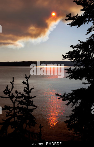 Rauch vom Feuer im Yellowstone National Park Stockfoto