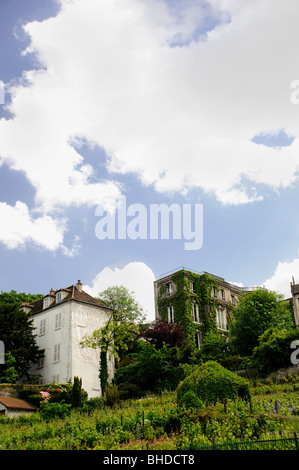 Letzte Weinberg in Paris, Rue des Saules, Montmartre, Paris, Frankreich Stockfoto