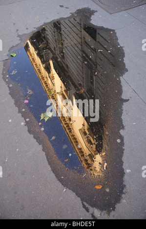 Ansicht einer Paris Wohnung Architektur spiegelt sich in der Pfütze Stockfoto