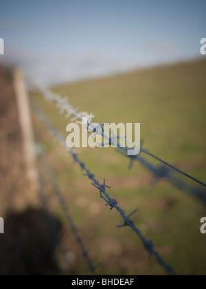 Stacheldrahtzaun deviding Ackerland und Zugang Land. Stockfoto