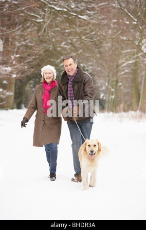 Älteres paar Walking Hund durch den verschneiten Wald Stockfoto