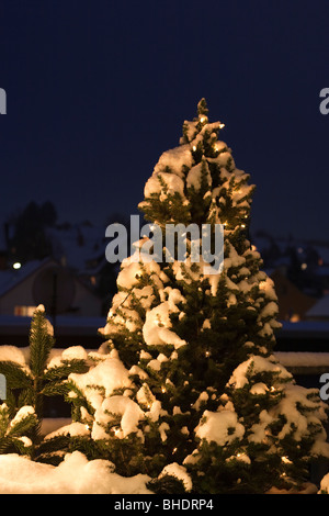 Schneebedeckte Tanne, tief verschneiten Landschaft bei Nacht Stockfoto