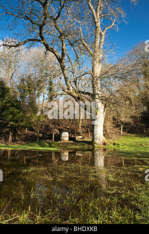 Die Quelle von der Themse bei Thameshead in der Nähe von Kemble in Gloucestershire, Großbritannien Stockfoto