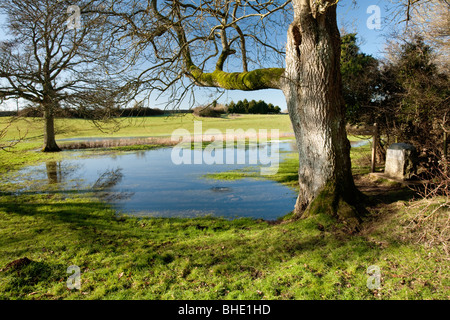 Die Quelle von der Themse bei Thameshead in der Nähe von Kemble in Gloucestershire, Großbritannien Stockfoto