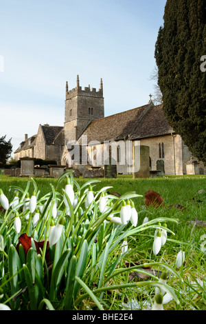 Schneeglöckchen und All Saints Church in Somerford Keynes, Cotswolds, Gloucestershire, Großbritannien Stockfoto