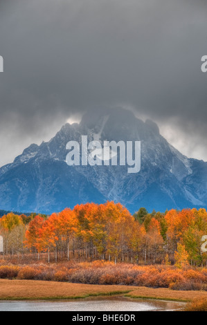 Gelbe Blätter der Espe Bäume, Mt. Moran, Snake River Stockfoto