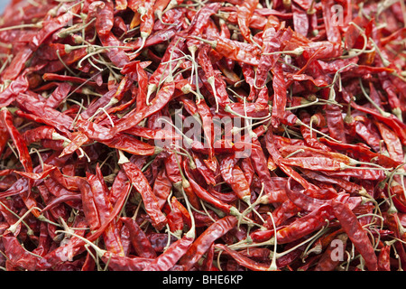 Getrocknete Chili in einer indischen Markt puttaparthi Stockfoto