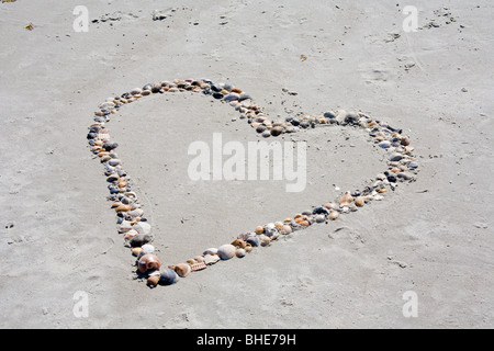 Bunte Muscheln in Herzform am Sandstrand des Jetty Park in Cape Canaveral, Florida Stockfoto