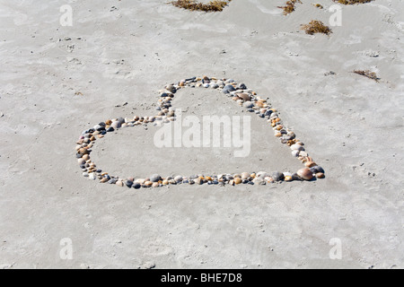 Bunte Muscheln in Herzform am Sandstrand des Jetty Park in Cape Canaveral, Florida Stockfoto