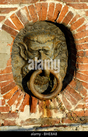 Gargoyle-Stil Liegeplatz am alten Yachthafen von Viareggio in der Toskana Italien Stockfoto