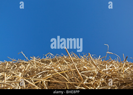 Close-up am Rand des Stroh Rundballen gegen starken blauen Himmel Stockfoto