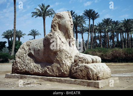 Sphinx Memphis Eypt. geschnitzte Alabaster Sphinx zu Ehren von einem unbekannten Pharao Stockfoto