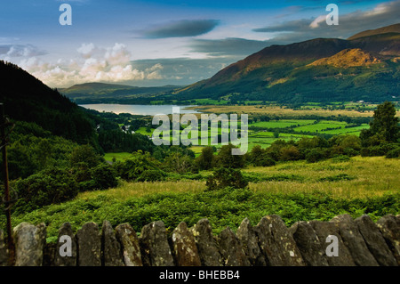 Blick auf den Bassenthwaite Lake und Skiddaw mit den obersten Steinen einer Trockenmauer im Vordergrund. Vom Whinlatter Pass aus gesehen Stockfoto