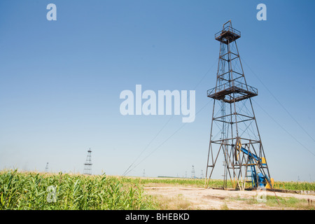 Ölquelle-Feld in einem mitten in einem Maisfeld. Landwirtschaft und Industrie. Stockfoto