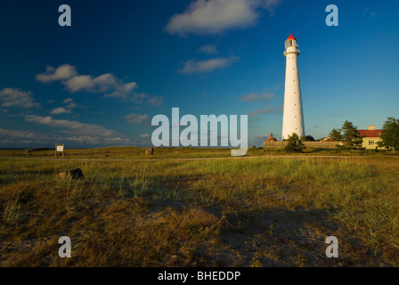 Ein Leuchtturm am Tahkuna Halbinsel auf der Insel Hiiumaa, Estland Stockfoto