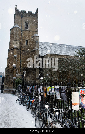 Universität Cambridge Rücken in den Schnee Stockfoto