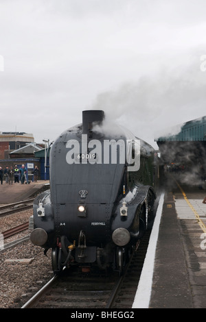 Der Valentines Express Dampfzug, der von A4 „Bittern“ an Reading Station UK gezogen wird Stockfoto