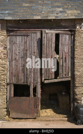 Große hölzerne Scheunentor reparaturbedürftig auf Bauernhof UK Stockfoto