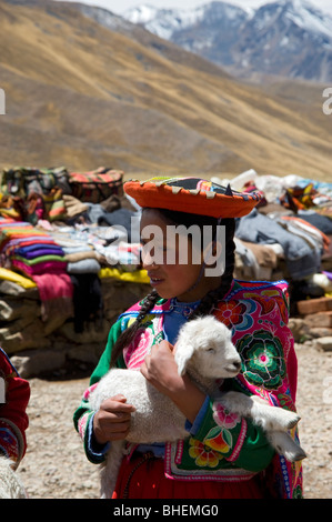 Eine Mädchen in Tracht und ein Baby Tier, vielleicht ein Alpaka, am Straßenrand am Abra La Raya Mountain pass in Peru Stockfoto