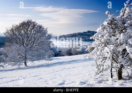 Winter in Newlands Ecke in der Nähe von Guildford, Surrey, UK. Stockfoto