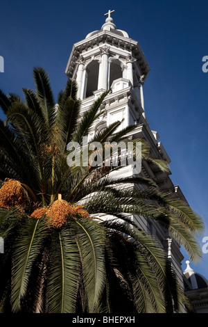 Ein Turm der Kathedrale Basilica von Saint Joseph in San Jose, Kalifornien, überragt von einer benachbarten Palme. Stockfoto