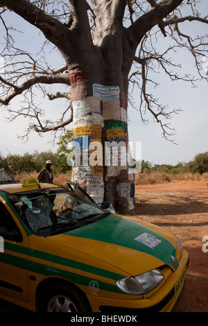 Lokale Werbung auf einen alten Baobao Baum vor Lamin Lodge Gambia West Africa Stockfoto