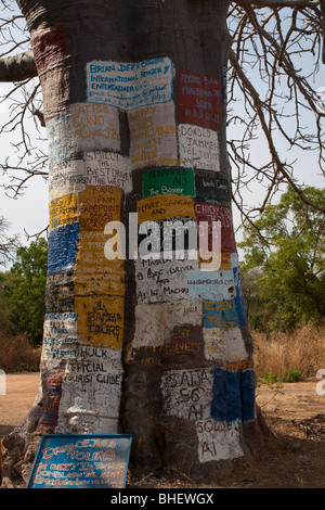 Alten Baobab-Baum in Gambia Westafrika Lamin lodge Stockfoto