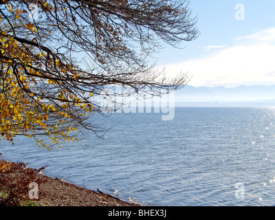 Deutschland, Bayern, Herbststimmung bin Starnberger See, Deutschland, Bayern, Herbst-Stimmung am Starnberger See Stockfoto