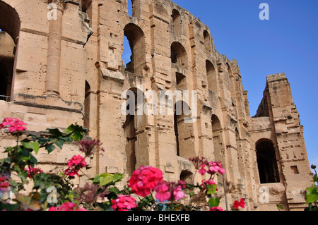 Römische Amphitheater El Djem, Gouvernorat Mahdia, Tunesien Stockfoto