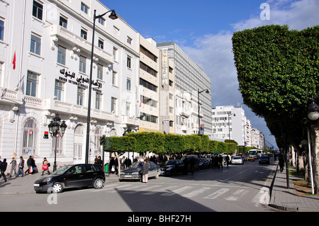 Avenue Habib Bourguiba, Tunis, Tunis Governorate, Tunesien Stockfoto