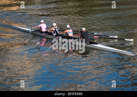 Ein Womans Vieren Rudern Teamtraining am Fluss Yarra in Melbourne Stockfoto