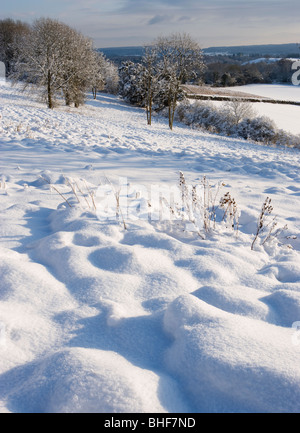 Winter in Newlands Ecke in der Nähe von Guildford, Surrey, UK. Stockfoto