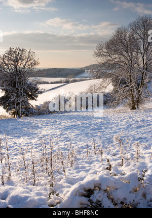 Winter in Newlands Ecke in der Nähe von Guildford, Surrey, UK. Stockfoto