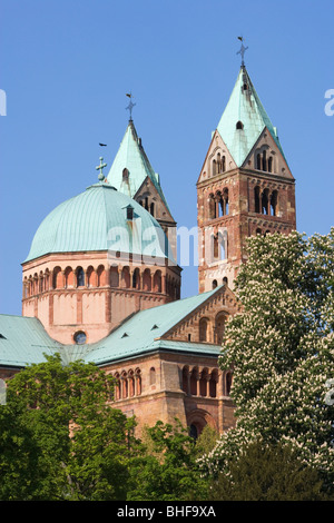 Bestandteil der Dom, Speyer, Rheinland-Pfalz, Deutschland Stockfoto