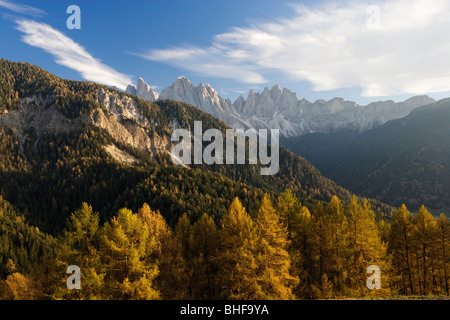 St. Magdalena, Villnösser Tal, Geisler Bereich im Hintergrund, Trentino-Alto Adige/Suedtirol, Italien Stockfoto