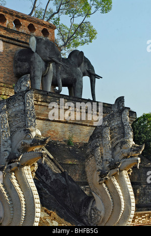 Treppen mit Nagas, Schlangen, bis zu der Chedi, Wat Chedi Luang, Chiang Mai, Thailand, Asien Stockfoto