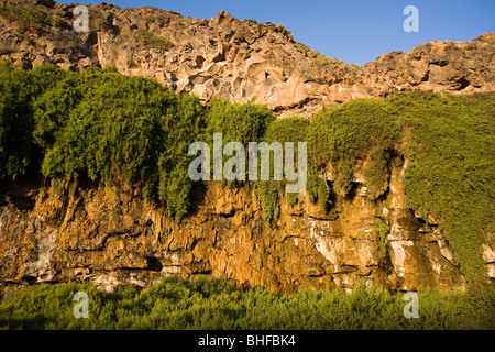 Zeigen Sie am Wasserfall mit kalkhaltigen Sintern, Barranco de Los Molinos, Parque Natural de Betancuria, Fuerteventura, Kanarische Inseln an, Stockfoto