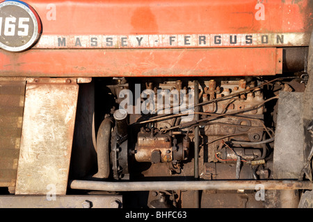 Massey Ferguson-Traktor im Feld, Irland Stockfoto