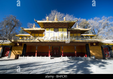 Die Norbulingka, Lhasa, Tibet Stockfoto