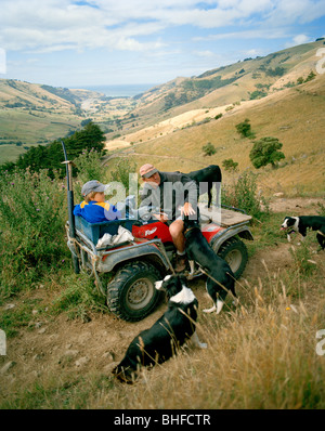 Hirt Lou Thacker mit Sohn und Schäferhunde vor riesigen Weide, Rowendale Homestead, Okains Bay, Banks Peninsula, Süden ist Stockfoto