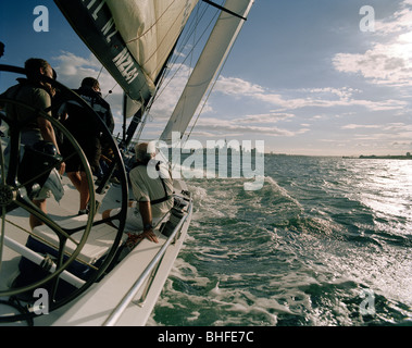 Drei Männer auf einem Segelboot auf Hochtouren, Waitemata Harbour am Horizont, Auckland, Nordinsel, Neuseeland Stockfoto