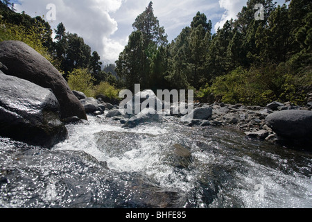 Fluss durch Gebirgslandschaft, Rio de Taburiente Playa de Taburiente, National Park, Parque Nacional Caldera de Tabu Stockfoto